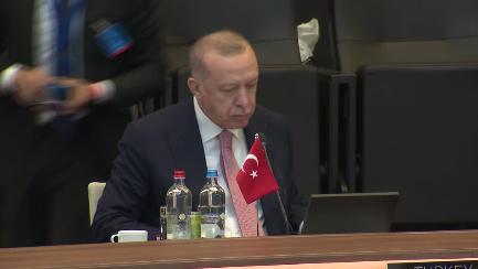 NATO Summit: Opening remarks at North Atlantic Council Meeting (package)